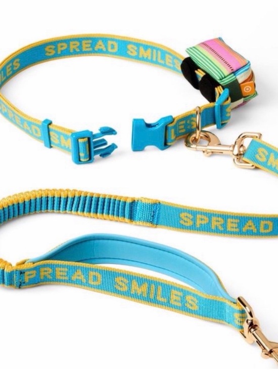 Cuddle collab Other - The cuddle collab bungee dog leash blue spread smiles new